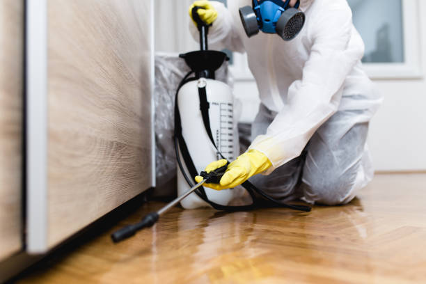 Best Affordable Pest Control Services  in High Rolls, NM