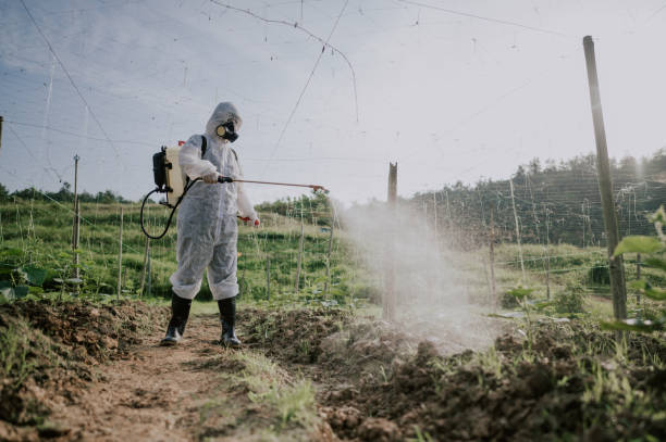Best Commercial Pest Control Services  in High Rolls, NM