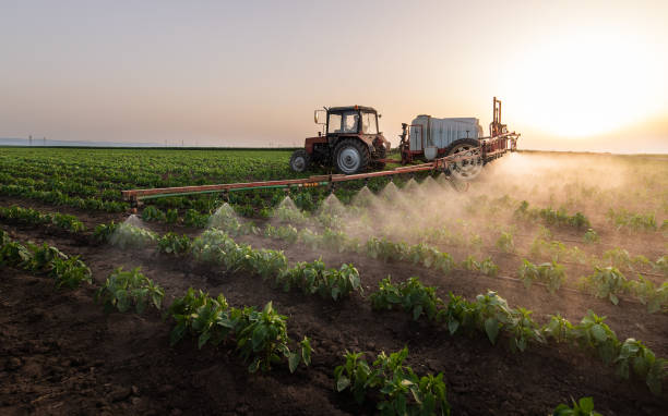 Best Pest Control Cost  in High Rolls, NM