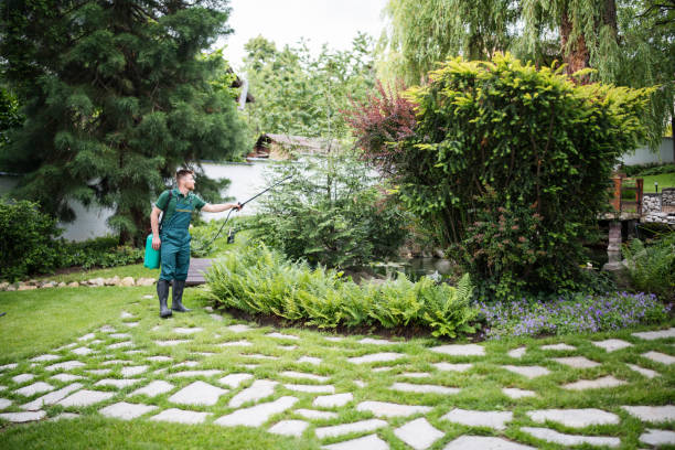 Best Mosquito Control Services  in High Rolls, NM