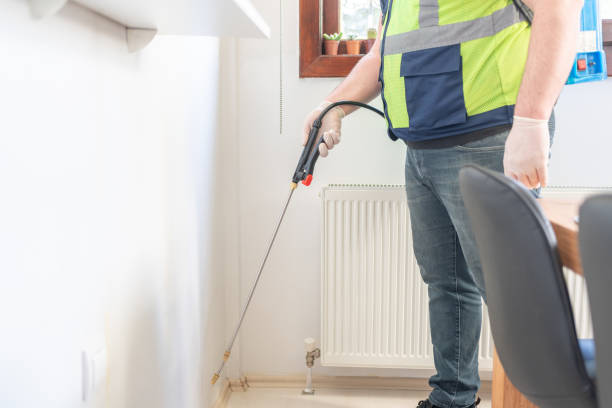 Best Flea Control Services  in High Rolls, NM