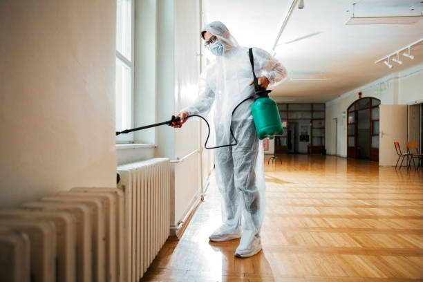 Best Pest Inspection Near Me  in High Rolls, NM
