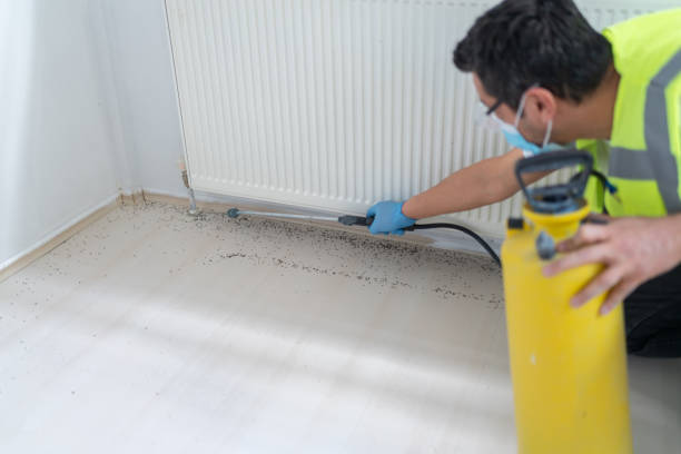 Best Affordable Pest Control Services  in High Rolls, NM
