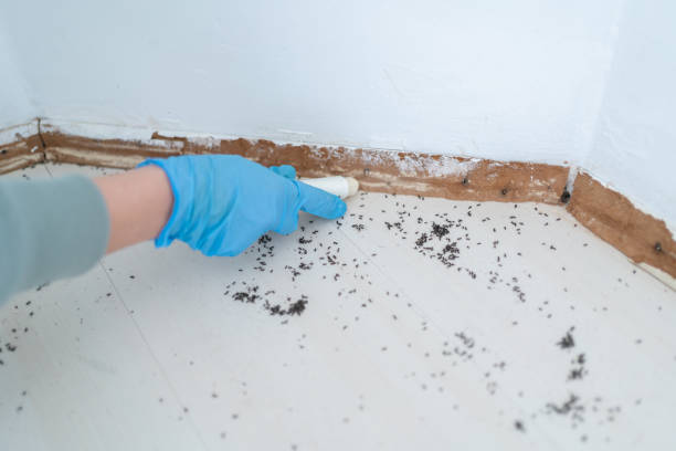 Pest Control Cost in High Rolls, NM