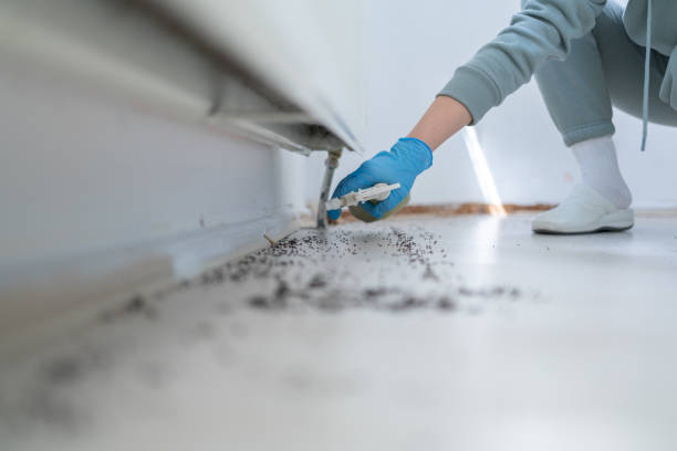 Best Pest Inspection Near Me  in High Rolls, NM